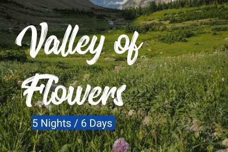 Valley of Flowers Trek