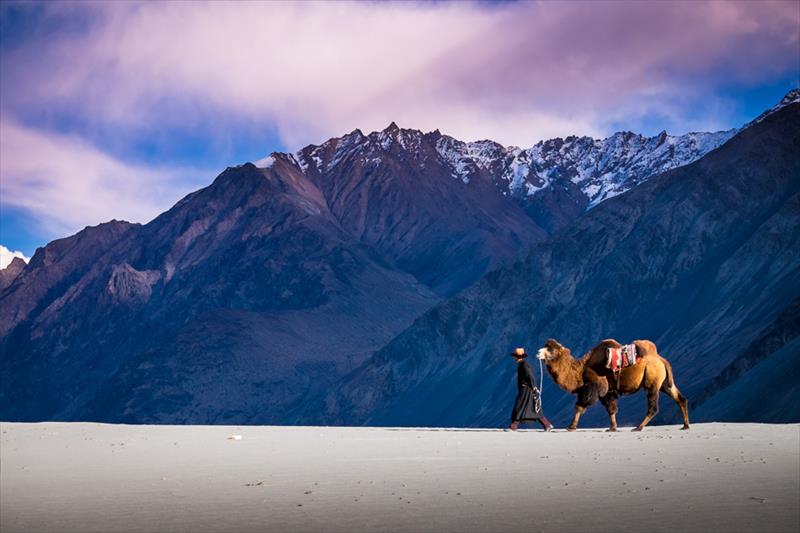  DAY 5 : LEH TO NUBRA VALLEY (162 Kms, 6 Hrs Drive Approx)